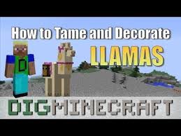 This Minecraft Tutorial Explains How To Tame A Llama With Screenshots And Step By Step Instructions Minecraft Has Changed T Minecraft Tutorial Minecraft Llama