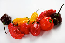 Image result for hot peppers