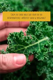 Chips De Chou Kale Au Four Ou Au Deshydrateur Aperitif Sain Original Recept