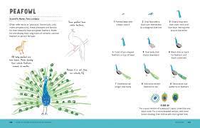 Ifunny is fun of your life. How To Draw Almost Every Animal World Book Media