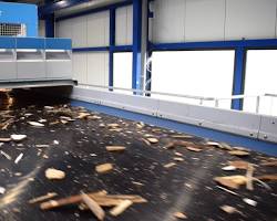 Image of Wood Sorting Machines