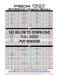 We may earn a commission through links on our site. Updated P90x Focus T25 Hybrid Schedule Free Download Healthy Fitness Focus T25 T25 Workout