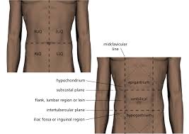 We did not find results for: Subdivisions Of The Abdomen Labeled Eccles Health Sciences Library J Willard Marriott Digital Library