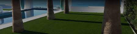 Things to do in san francisco this weekend. San Francisco Xgrass Artificial Grass