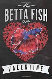 Check spelling or type a new query. My Betta Fish Is My Valentine Unique 2 In 1 Journal Planner Gift For Betta Fish Owners And Lovers Freshwater Fishkeeper A Funny Valentine S Day You Gifts Idea Lined Notebook Birthday Gifts