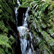 無印良品山泉水：十八洞村而来，践行可持续理念- 中国日报网