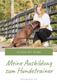 Ausbildung Zum Hundetrainer Nach Martin Rutter Dogs Midoggy Community In 2021 Hundetrainer Hundchen Training Hunde