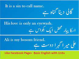 Dictionary Roman Urdu To English English Vocabulary With Meaning Simple English Sentences Learn English Words Basic English Sentences