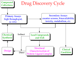 Preclinical Development Wikipedia