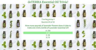 Do essential oils have any actual health benefits? Create An Interactive Trivia Game For Your Next Event By Paigesmith3794 Fiverr