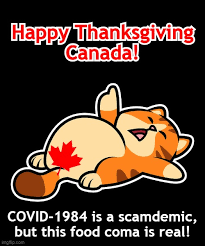 Best memes for the holiday share on. Happy Scamdemic Thanksgiving Canada Imgflip