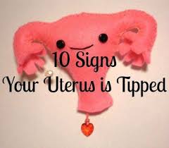 Uterus Uterus Retroverted Uterus Prolapsed Uterus