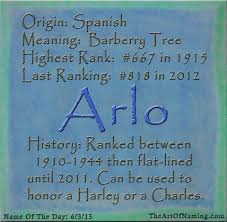 The Art Of Naming Name Of The Day Arlo Names Boy Names Baby Names