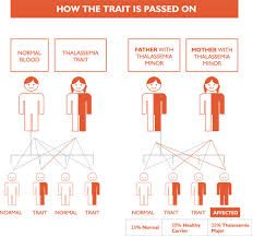 What Is Thalassemia Health Codify Club