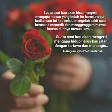 2.1 download gambar bunga mawar merah tumblr. Instagram Photo By Majelis Tausiyah Cinta Apr 22 2016 At 3 52am Utc