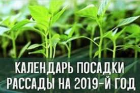 пересадка комнатных лунный календарь для комнатных растений на 2019 год таблица Kalendar Posadki Rassady Na 2019 J God Herbs Herbs For Health Harvesting Herbs