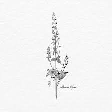 Aconitum Vulparia Ink On Drawing Paper Have A Good Evening Botanicaltattoo Floraltattoo Poisonous Tatts Tatt Drawings Tattoo Artists Plant Tattoo