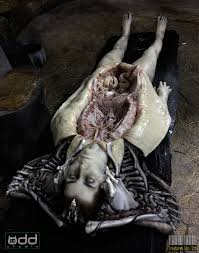 Check spelling or type a new query. Shaw Alien Covenant By Odd Creatures Odd Studio Creatures Inc Lv426