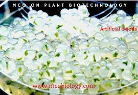 Join our social networks below and stay updated with latest contests, videos, internships and jobs! Multiple Choice Questions On Plant Biotechnology