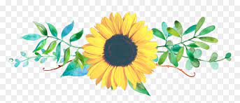 Download gambar png icon bunga matahari png. Transparent Small Flower Clipart Gambar Bunga Matahari Desain Hd Png Download Vhv