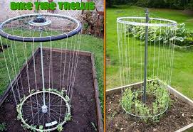 Well, i'm at it again! 33 Inspiring Diy Trellis Ideas For Growing Climbing Plants The Self Sufficient Living