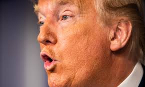 World Health Organization |