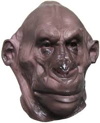 「ゴリラ」の画像検索結果