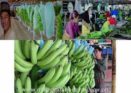 According to the 2010 census, it has a population of 20,290 people in 4,497 households. Datu Paglas Maguindanao Philippines Philippines