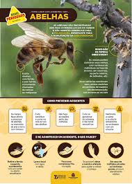 Soro contra veneno de abelhas tem resultados promissores nas fases iniciais  do ensaio clínico - Instituto Butantan