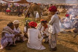 Its annual livestock market, the pushkar fair, draws farmers and tradesmen from across the country, looking to buy camels. When Is The Pushkar Camel Fair 2021 2022 2023 Dates