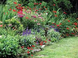 Plant type categories may seem a bit confusing. A Guide To Annuals Versus Perennials Hgtv
