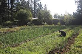 The tower is 10 stories tall and the observation deck at the top is 250 metres above sea level. Hs A0c5wgb Skm