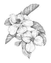 Magnolia Flower Flower Art Print Magnolia Print Minimalist Etsy Flower Drawing Flower Prints Art Flower Art