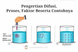 Maybe you would like to learn more about one of these? Difusi Adalah Pengertian Contoh Fungsi Jenis Faktor