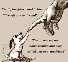 Dog Is God Spelled Backwards Dog Quotes Dog Poems Dog Quotes Love