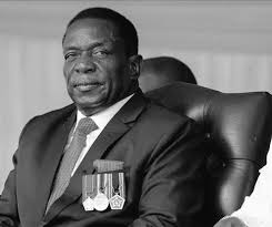 'dog house' goes to germany with zdf swooping for channel 4. 4auf11 Jp2mcem