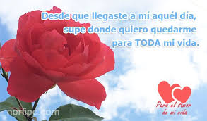 Frases De Amor Para El Hombre O La Mujer De Mi Vida Imagenes De Enamorados Mujer De Mi Vida Vida