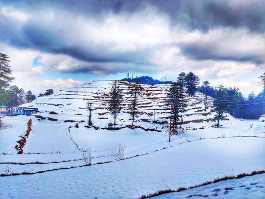 Kufri - Tourist Places & Top Things to Do in 2026