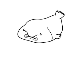 Ausmalbilder meerschweinchen galerie ausmalbilder meerschweinchen. Die 274 Gratis Malvorlage Fisch Schuppen Clipartmalvorlagen Com Die Malvorlagen Fur Kinder Zum Ausdrucken