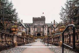 Cozy Places To Escape The Winter Chill In Victoria B C Victoria Bc Canada Tourism Victoria Victoria Canada
