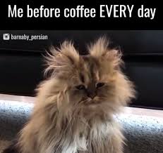 Pin By Sydney Conway On Coffee Coffee Humor Coffee Obsession Coffee Beans