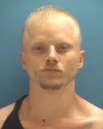 Local man drives stolen car into house