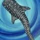 Whale Shark: June 26th