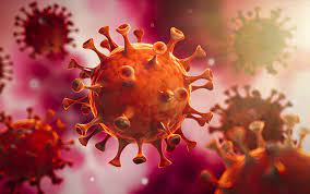 The day is reset after midnight gmt+0. Coronavirus Covid 19 Current Situation Bronkhorst