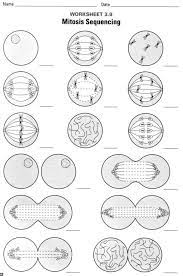 Biology Biology Worksheet Biology Lessons Biology Classroom