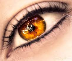 I hope you all enjoy! Gold Amber Eyes Posts Facebook