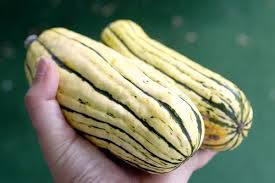 Squash Delicata Squash Squash Yellow Squash Recipes