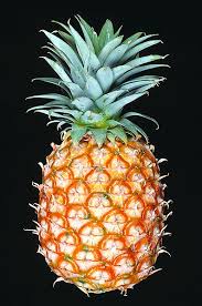 Image result for Ananas comosus