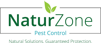 Why is pest bear the best choice for pest control in florida? Pest Control Tampa Naturzone Pest Control
