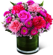 We did not find results for: Clermont Florist Flowers Clermont Fl 34711 Clermont Florist